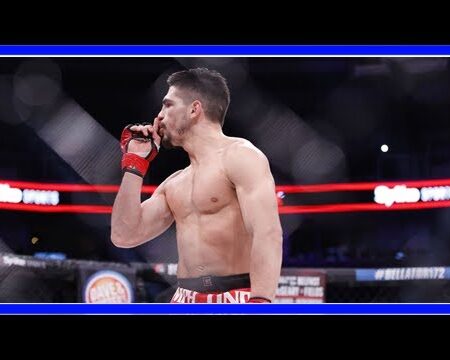 UFC Des Moines: Гастон Боланьос встретится с Куангом Ле