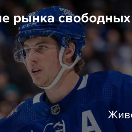 Обзор рынка свободных агентов НХЛ: Главные события и сделки