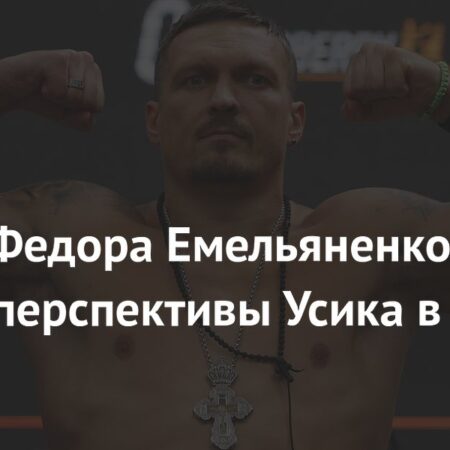 Тренер Фёдора Емельяненко оценил шансы Александра Усика в ММА на фоне переговоров с Джейком Полом