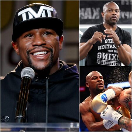 Рой Джонс-младший: Флойд Мейвезер «никогда не бросал себе вызов»