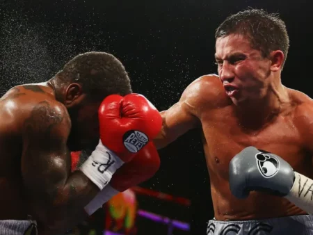 Ставки на бокс: Полное руководство