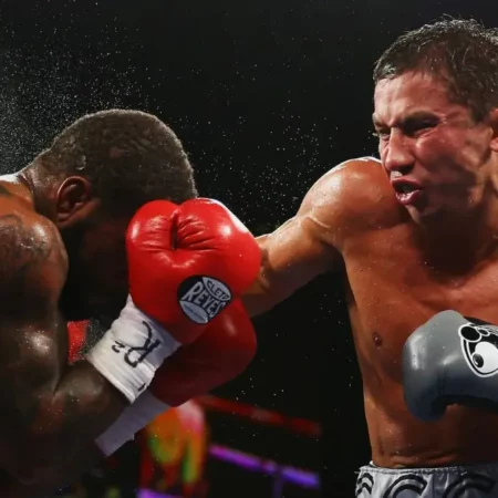 Ставки на бокс: Полное руководство