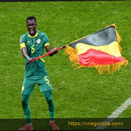 Вице-капитан Сенегала Идрисса Гей готов передать медали Кубка Африки Марокко