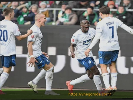 Хоффенхайм реабилитировал Вестерберга