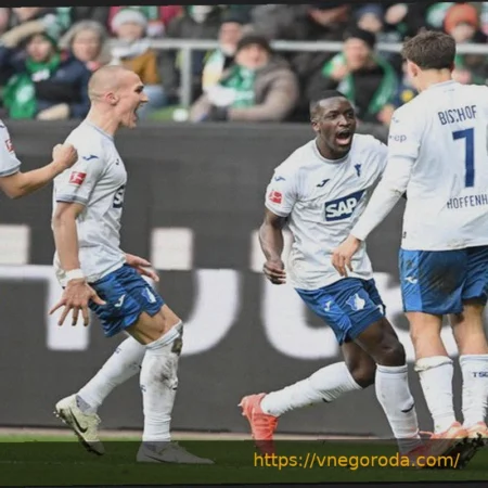 Хоффенхайм реабилитировал Вестерберга