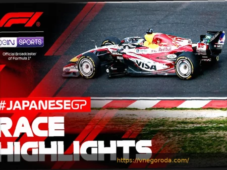 Беспорядки омрачили кубковый матч BFC Динамо и Спарты Лихтенберг: есть раненые и задержанные