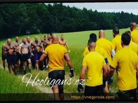 Обвинение в саботаже против тренера Брондбю: Барбарез вызывает ажиотаж перед стыковыми матчами ЧМ