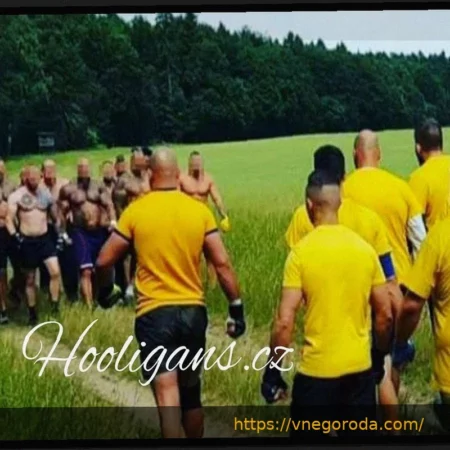 Обвинение в саботаже против тренера Брондбю: Барбарез вызывает ажиотаж перед стыковыми матчами ЧМ