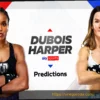 Прогнозы на большой бой: Дюбуа против Харпер – кто победит?