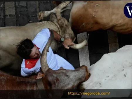 Кровавая схватка Фермина с Муссо: последствия