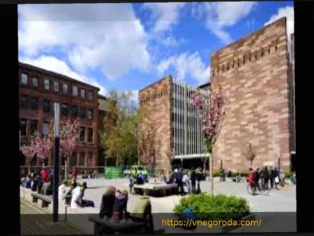 Еврокубковые триумфы Фрайбурга и Майнца: что это значит для Бундеслиги?