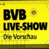 Возвращение Куансы и Васкеса: Позитивные новости для «Байера» перед матчем с BVB