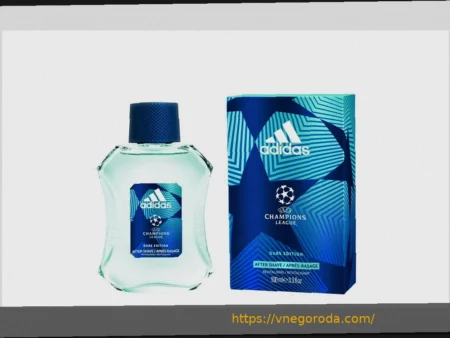 УЕФА может отобрать мячи Лиги Чемпионов у Adidas: Nike ведет эксклюзивные переговоры