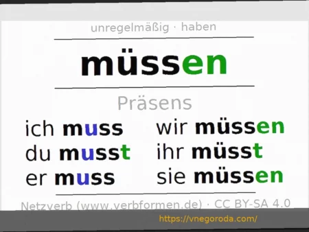 Муслич: «Не нужно делать ничего лишнего»