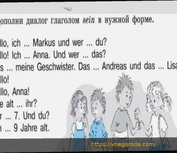 Капитан «Дармштадта» Шуэн о матче с «Ганновером 96»: «Они праздновали, как будто уже вышли в Бундеслигу»