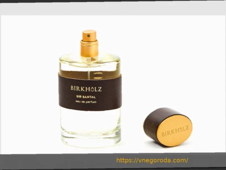 Буркхольц вновь привела Германию к победе