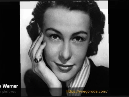 Вернер перед возвращением в Бремен: «Кто свистит, тот свистит…»