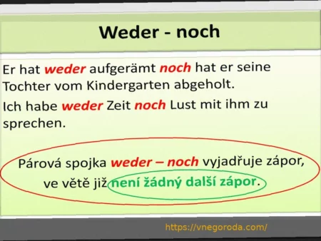 36 или 40 очков? Фогель: не прорицатель и не игрок в лотерею