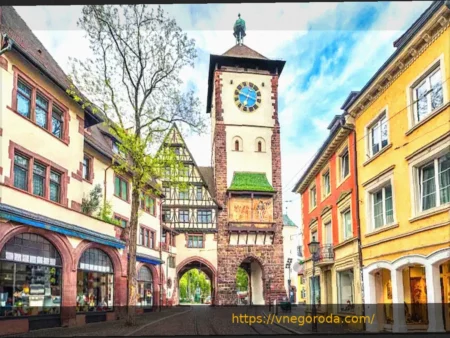 Амира Арфауи – первое летнее приобретение «Фрайбурга»