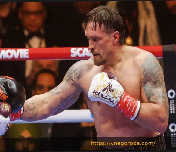 Verhoeven calls for immediate Usyk rematch, but does he deserve it?