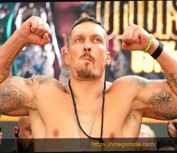 Usyk vacates world titles